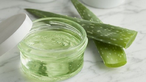 Everything You Need To Know About Aloe Vera Gel
