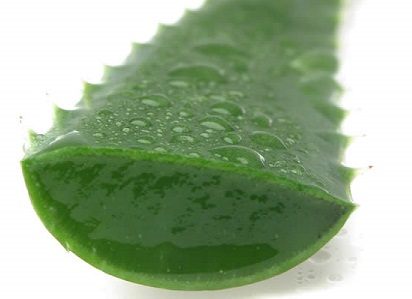 Green Leaf Naturals Aloe Vera Gel for Skin, Face and Hair
