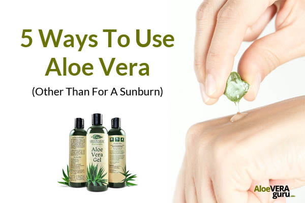5 ways to use aloe vera - guide