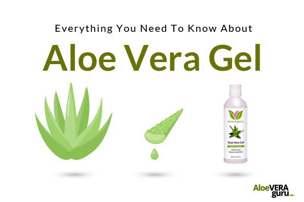 Everything About Aloe Vera Gel - Featured Image